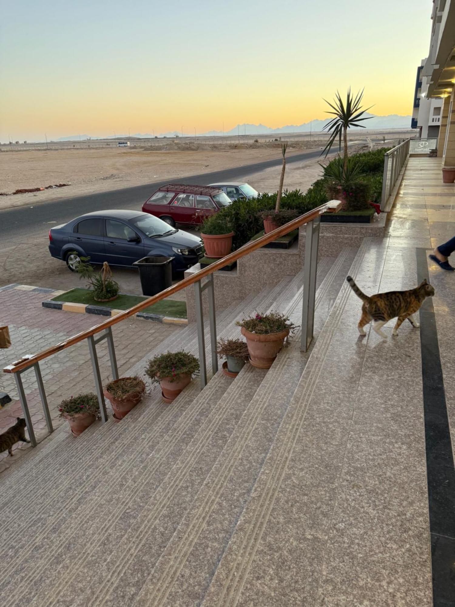 Cozy Little Studio Near Kite Station. Hurghada Ngoại thất bức ảnh